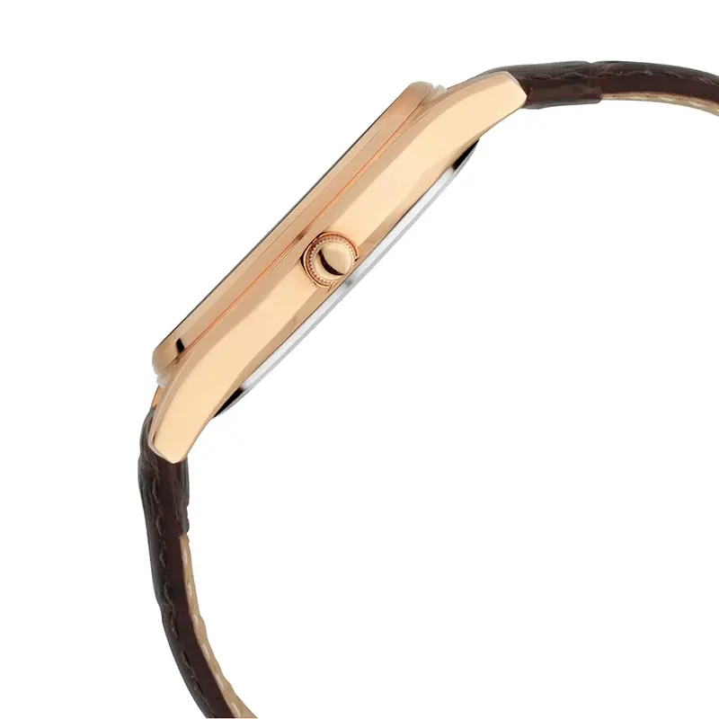 Titan Lagan Leather Strap Men's Watch-1713WL01